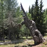 Wallnerhuette Ii Makernigblick Mörtschach