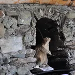 Vakantiehuis Wallnerhuette Ii Makernigblick Mörtschach