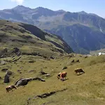 Wallnerhuette Ii Makernigblick Mörtschach