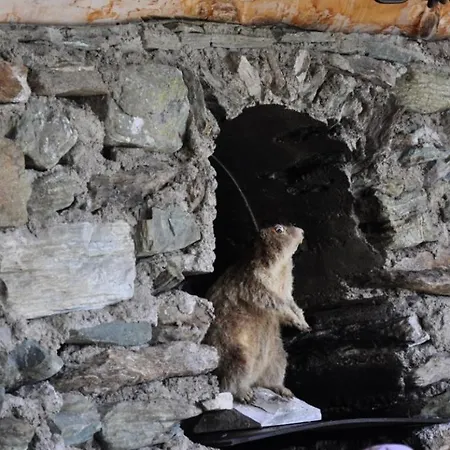 Tatil Evi Wallnerhuette Ii Makernigblick Mörtschach