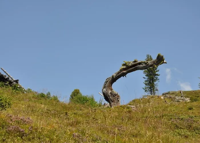 Wallnerhütte Ii Makernigblick Ferienhaus Mörtschach